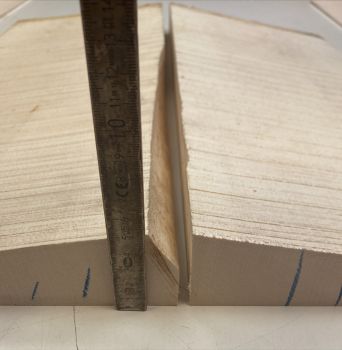 Back & Sides Sycamore / Europ. Maple, Archtop Unique Piece #021